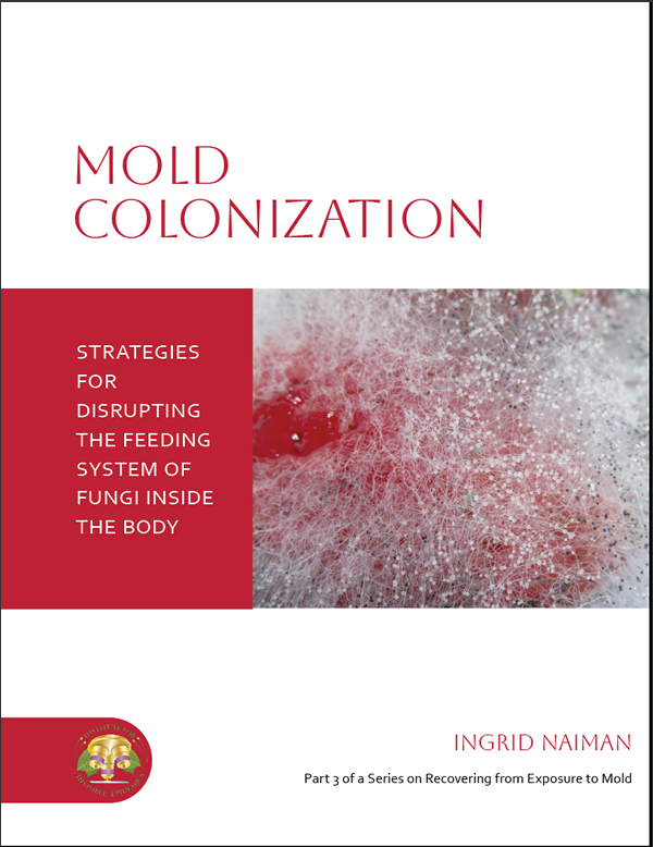 Mold Colonization
